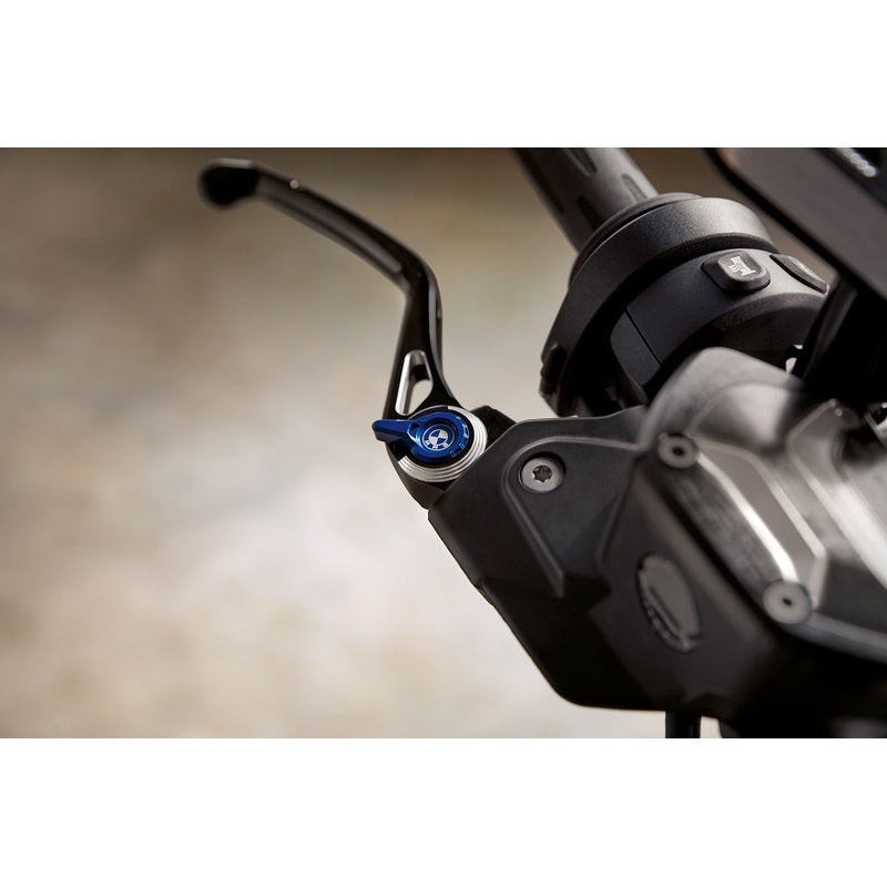 BMW R1250 Series Option 719 HP Adjustable Lever Set