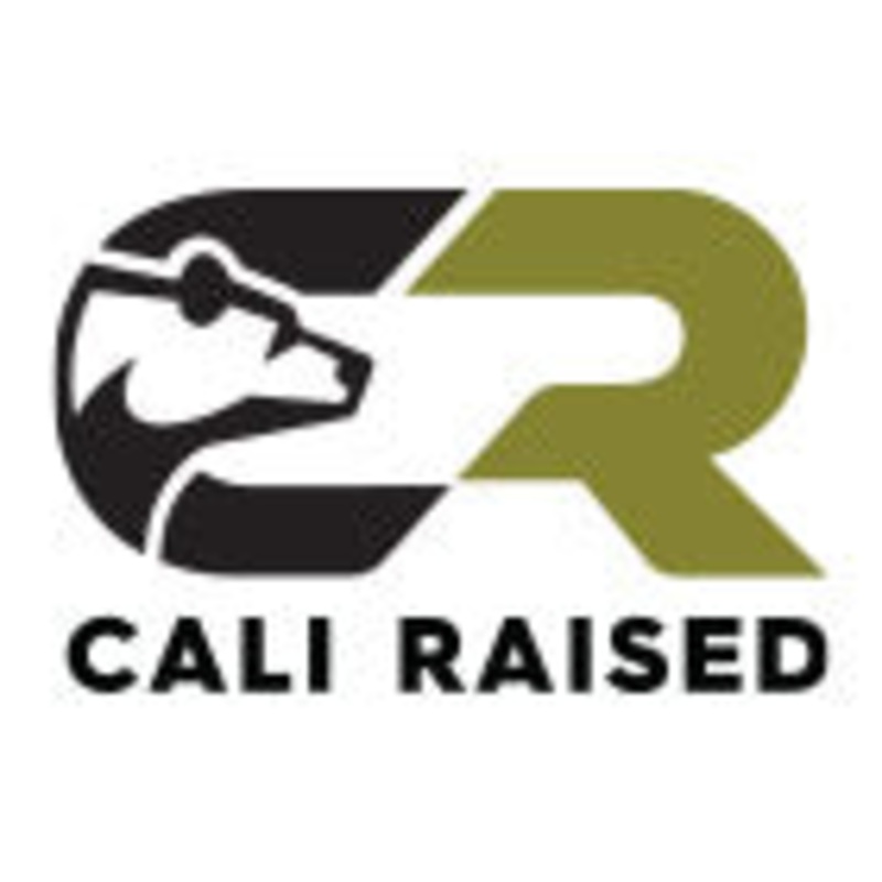 Cali Raised LED CR3818 – Cali Raised 10-24 Toyota 4Runner Premium Roof Rack 360 Lighting Kit